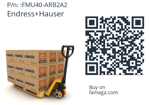   Endress+Hauser FMU40-ARB2A2