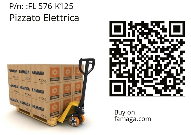   Pizzato Elettrica FL 576-K125