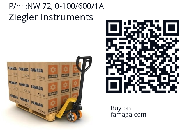   Ziegler Instruments NW 72, 0-100/600/1A